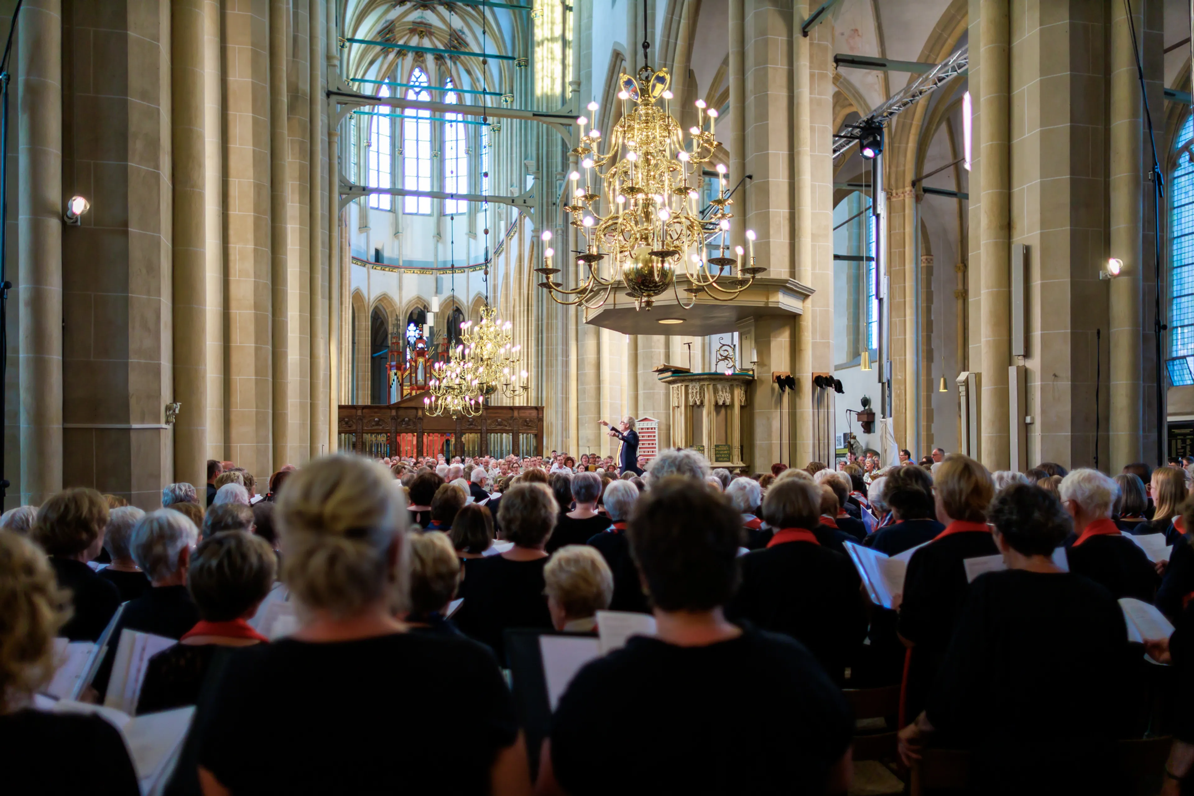 Uitgelichte afbeelding