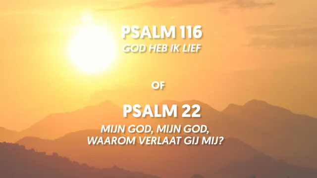 Uitgelichte afbeelding