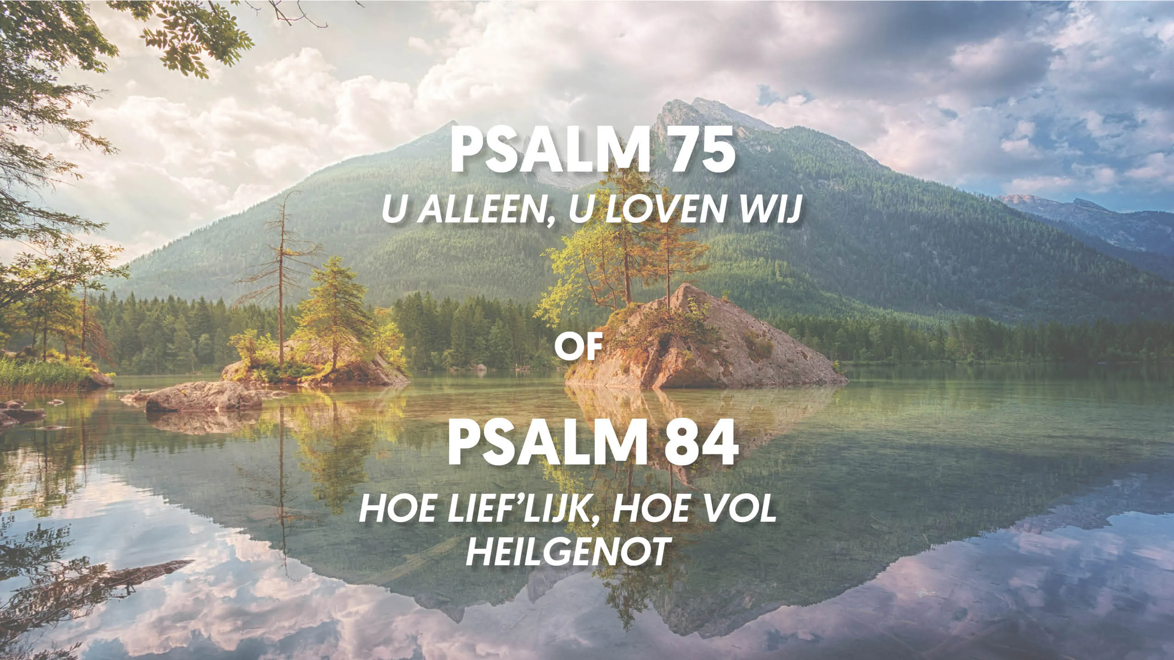 Uitgelichte afbeelding