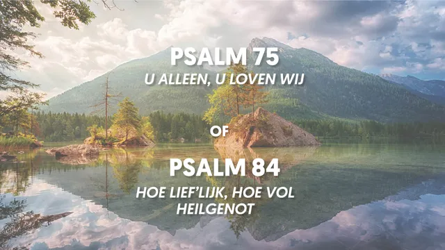 Uitgelichte afbeelding