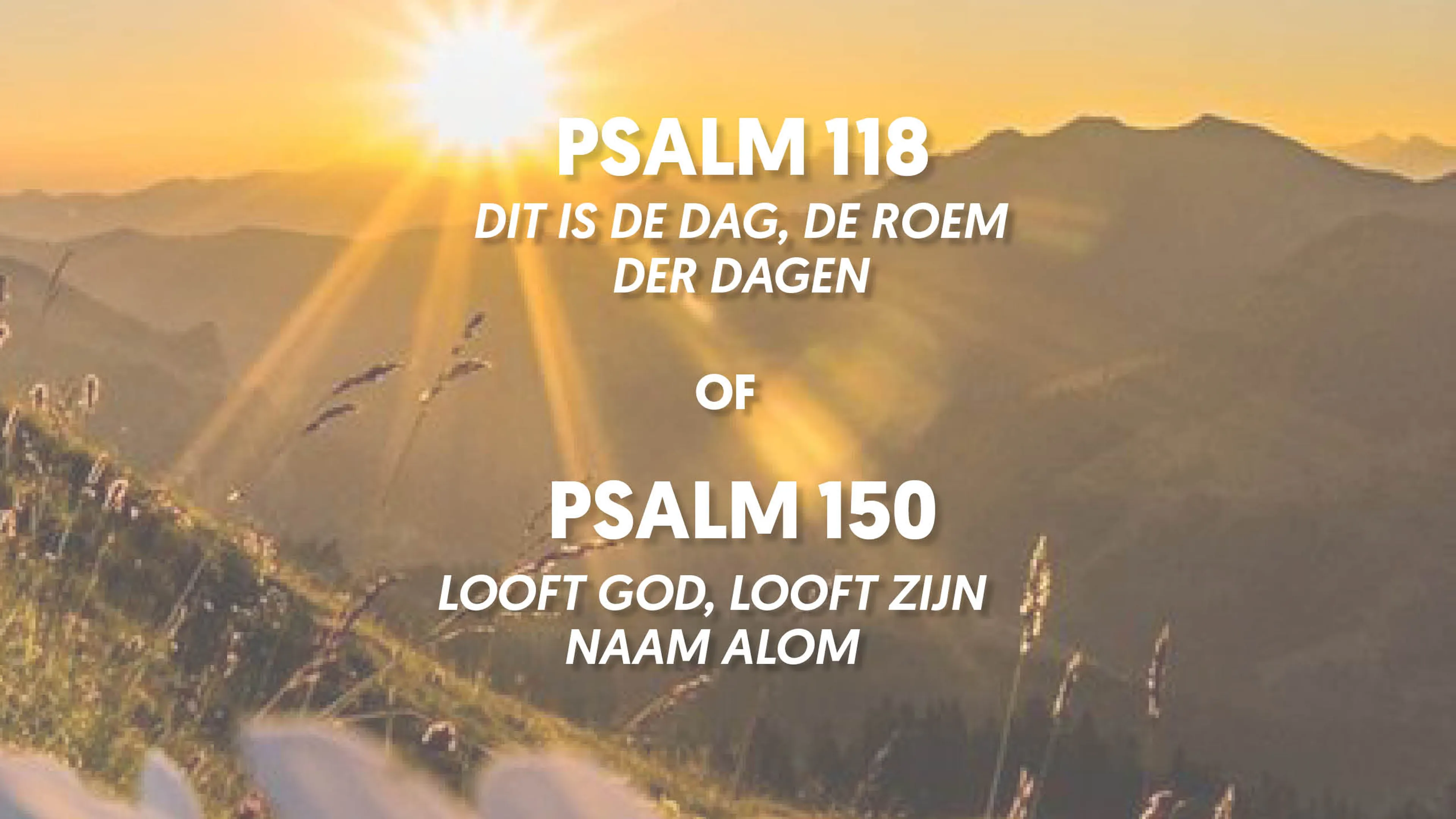 Uitgelichte afbeelding