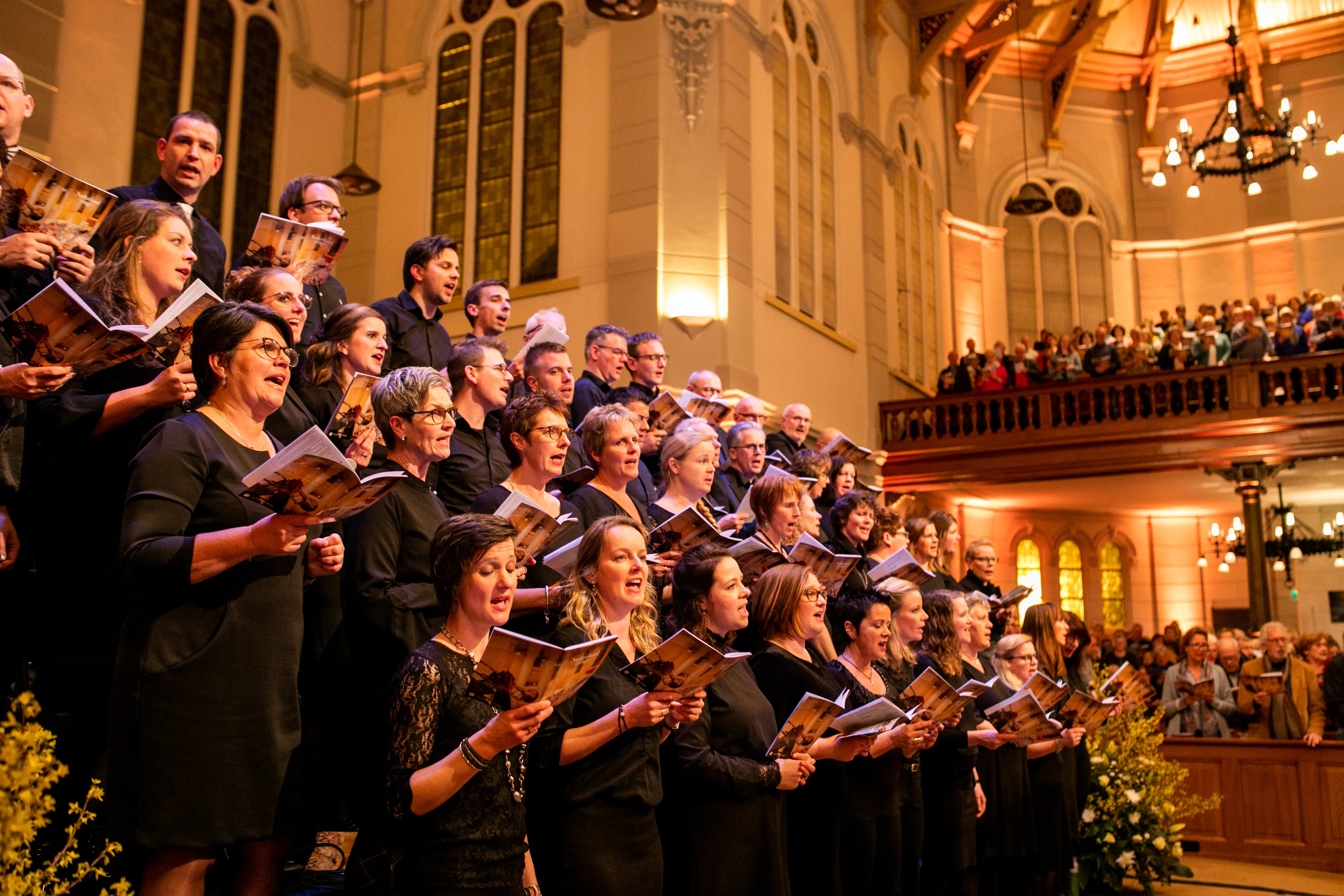 Psalm van de week: Psalm 1 of 40