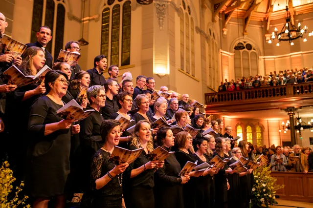 Uitgelichte afbeelding