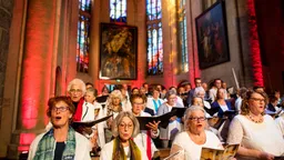 Cover van het lied Mijn vrede laat Ik u