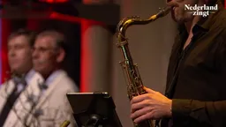 Cover van het lied Ga maar gerust