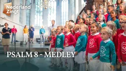 Cover van het lied Psalm 8 medley