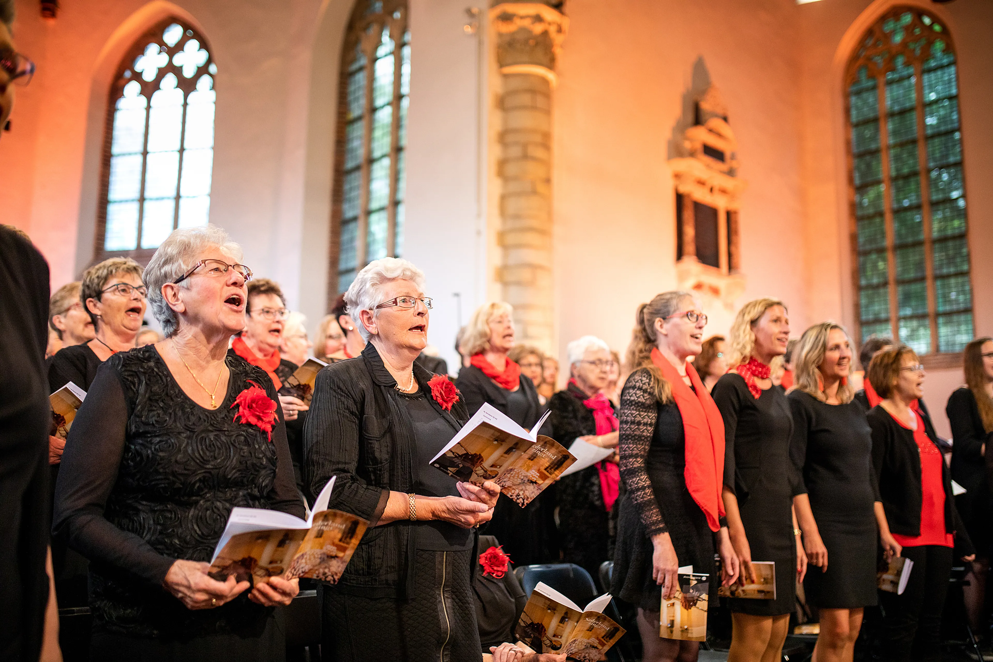 Uitgelichte afbeelding