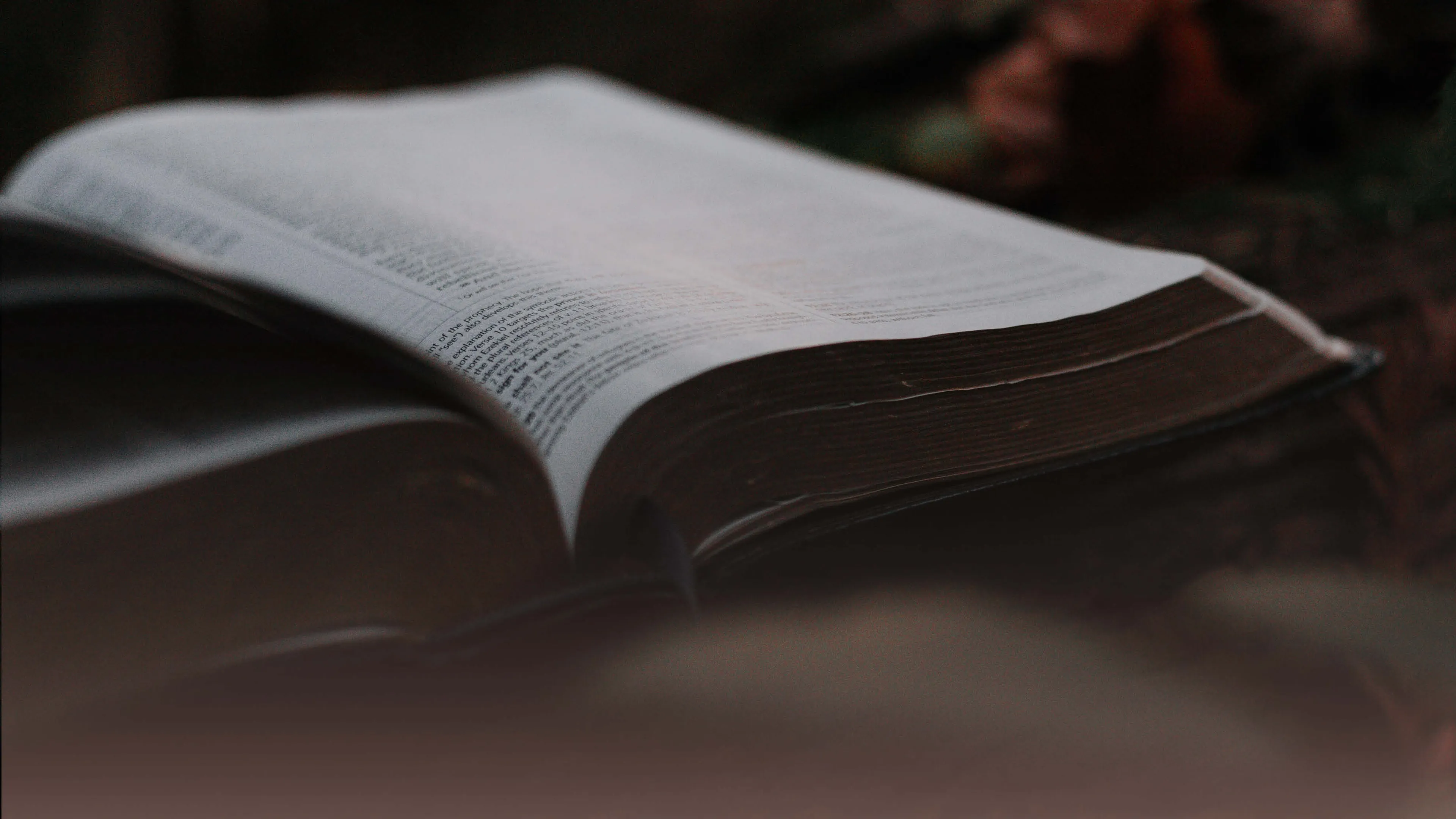 Ons thema voor deze week is: Wijsheid van God