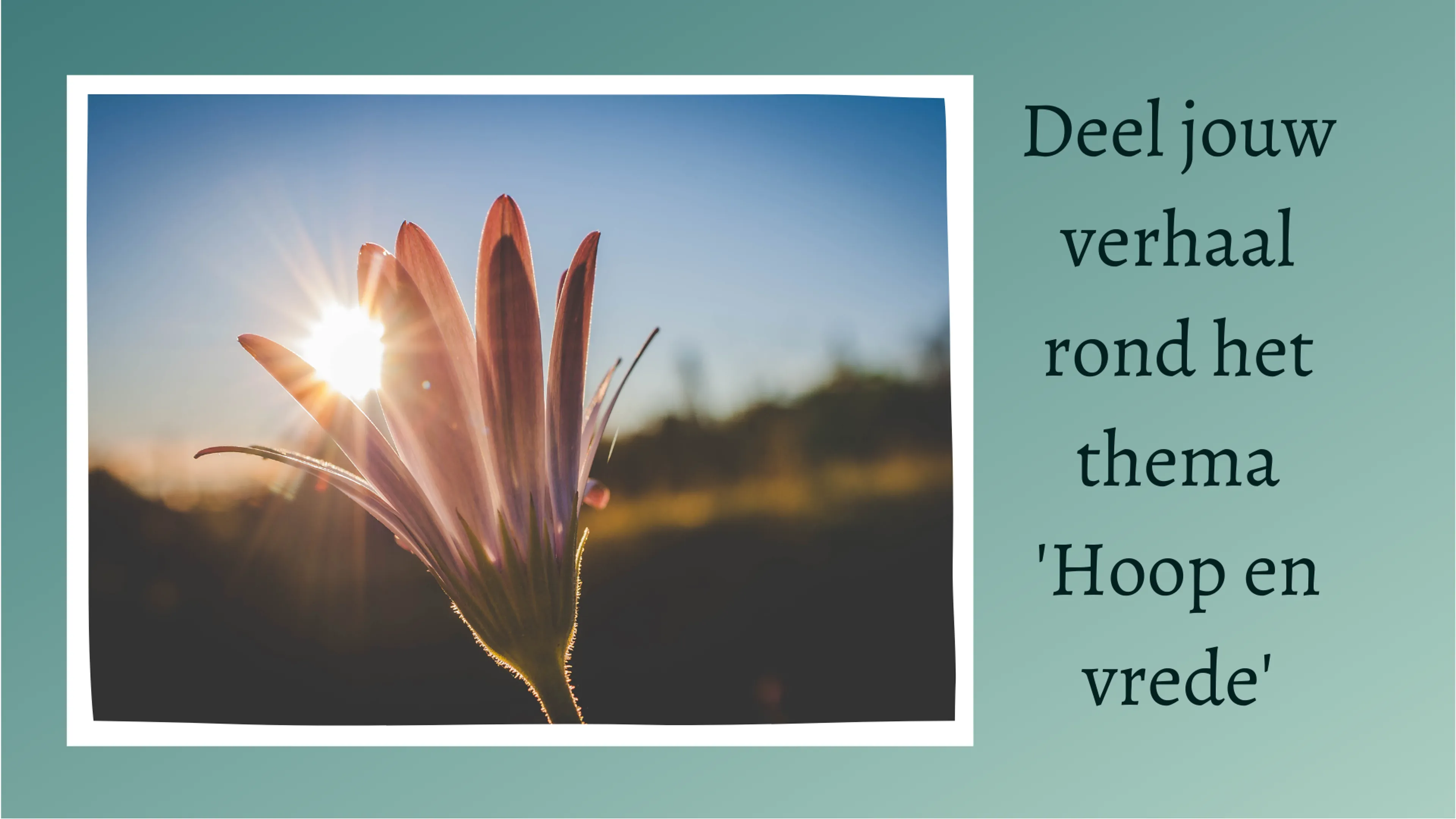 Uitgelichte afbeelding