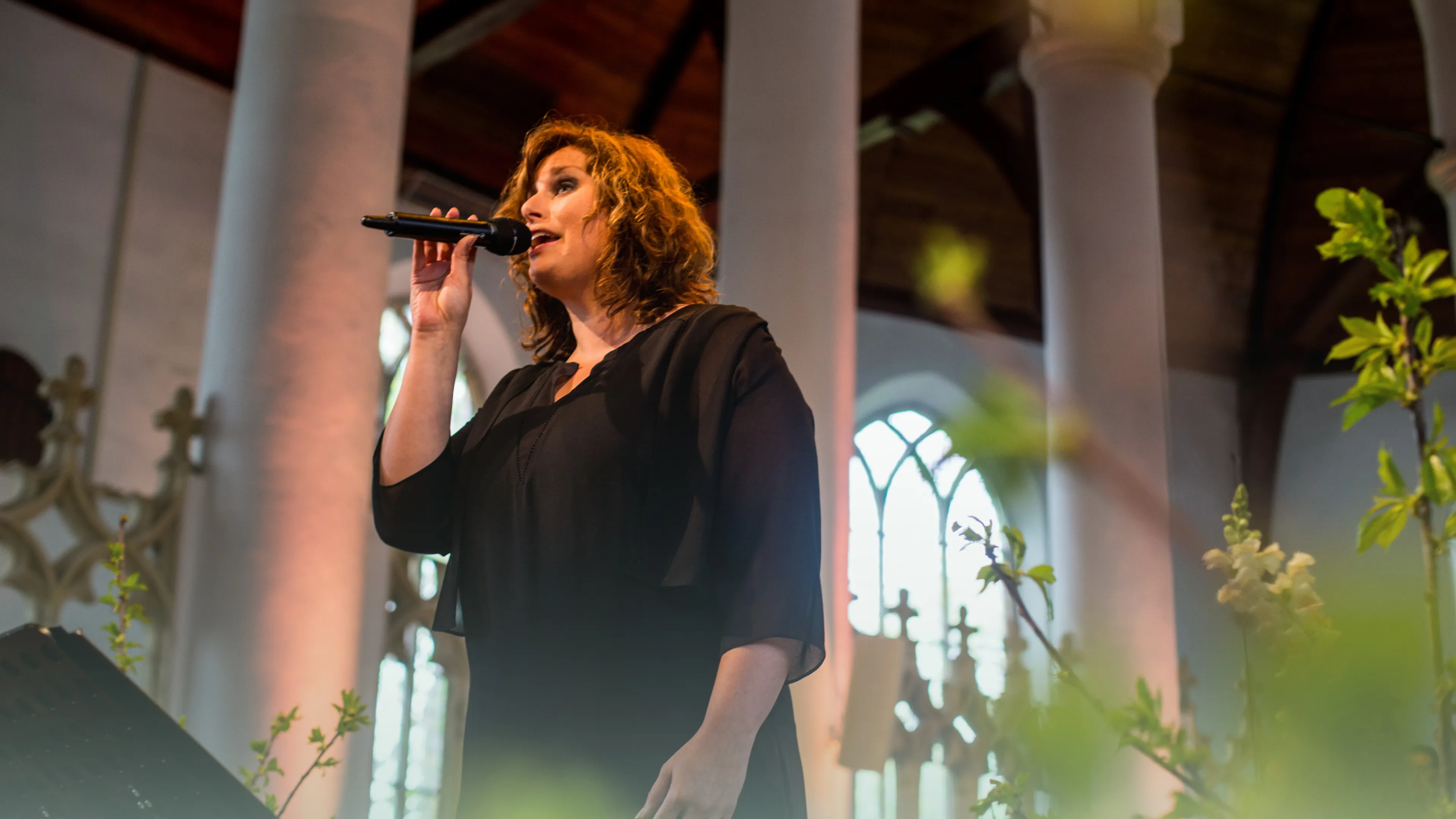 Uitgelichte afbeelding