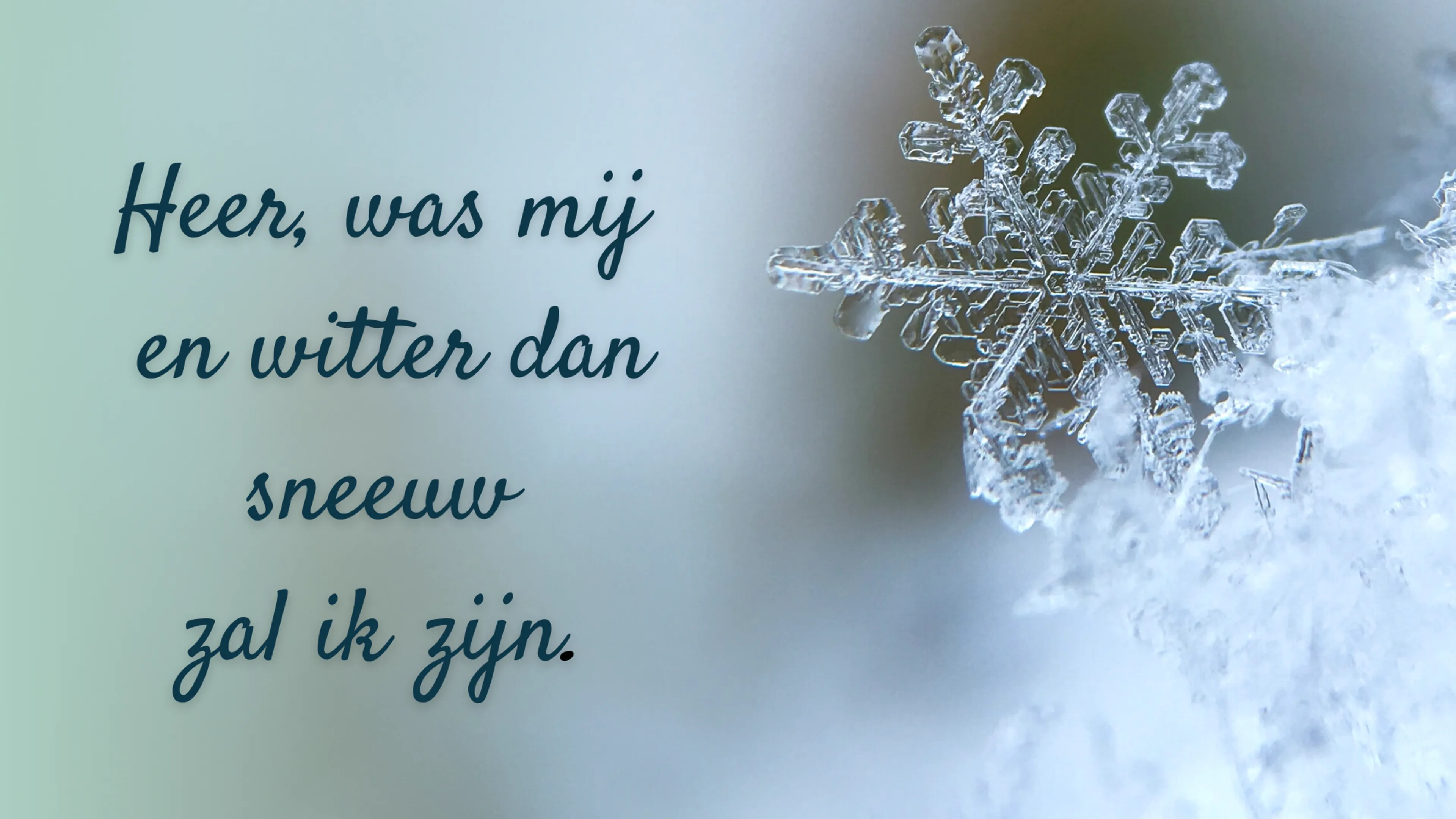 Uitgelichte afbeelding