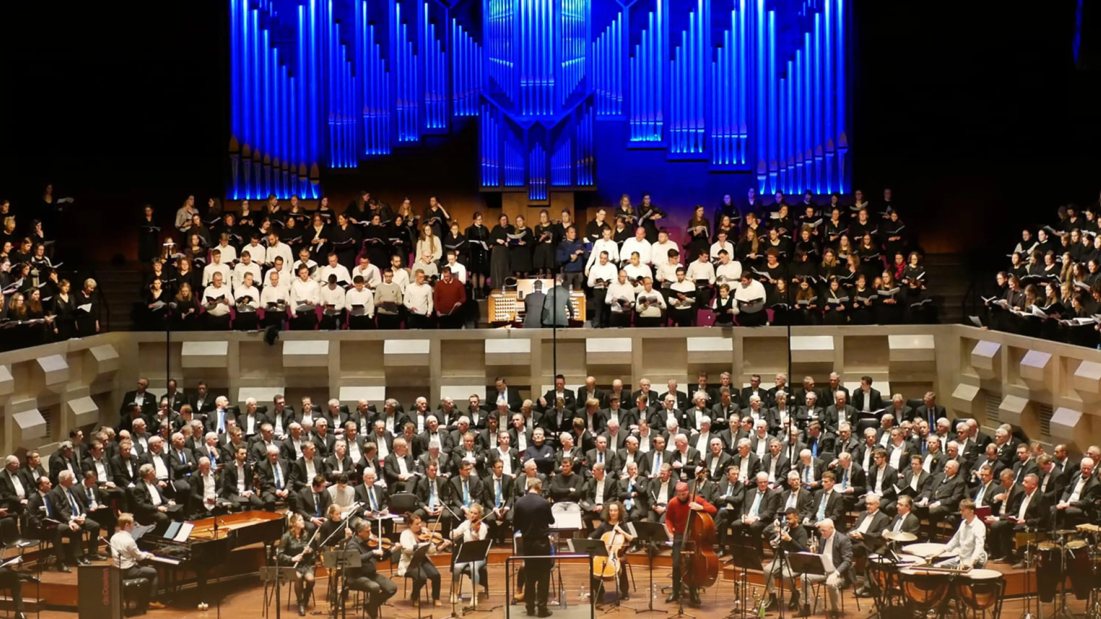 Viral: Een indrukwekkende uitvoering van 'Wat de toekomst brengen moge'