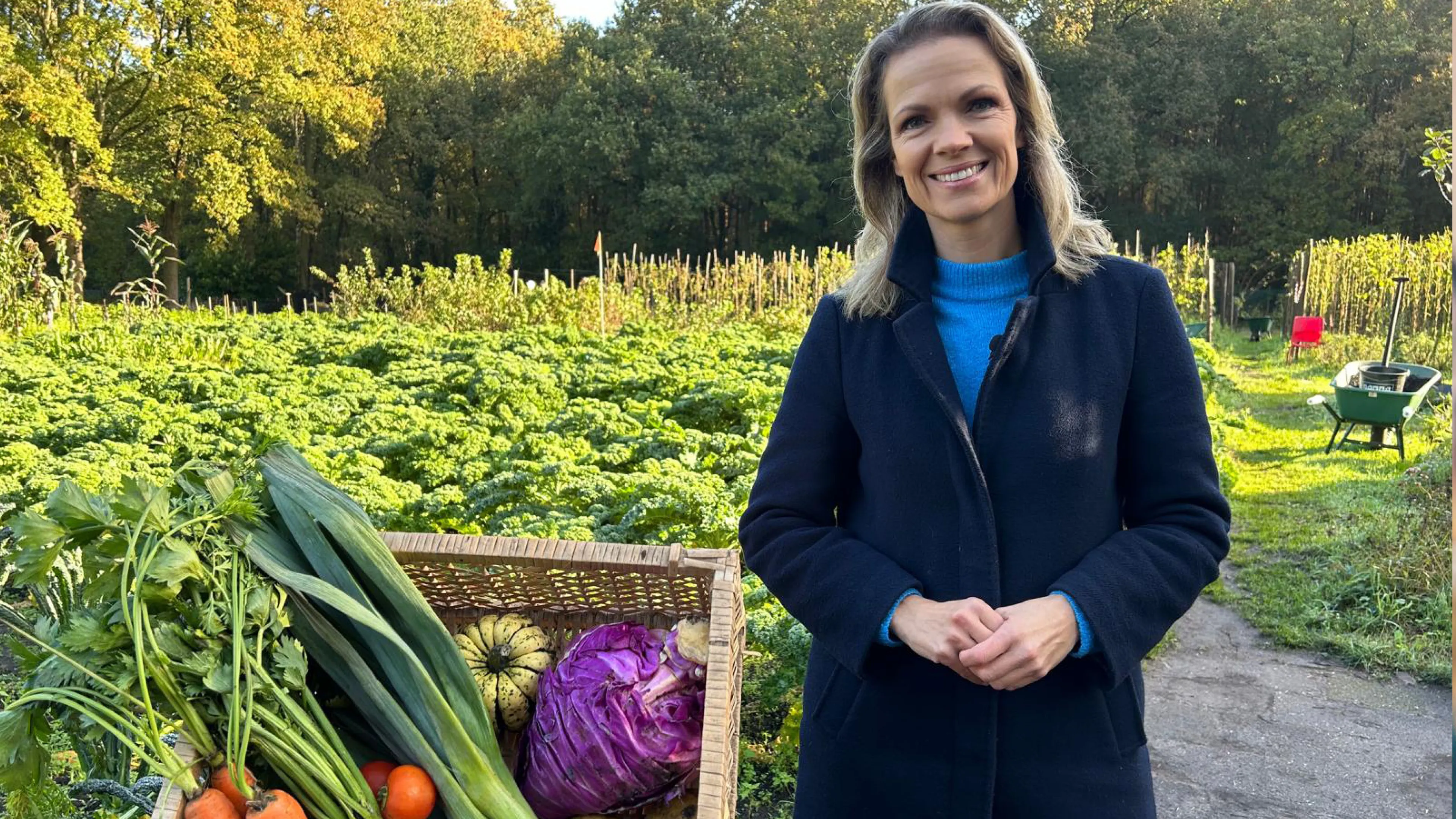 Uitgelichte afbeelding