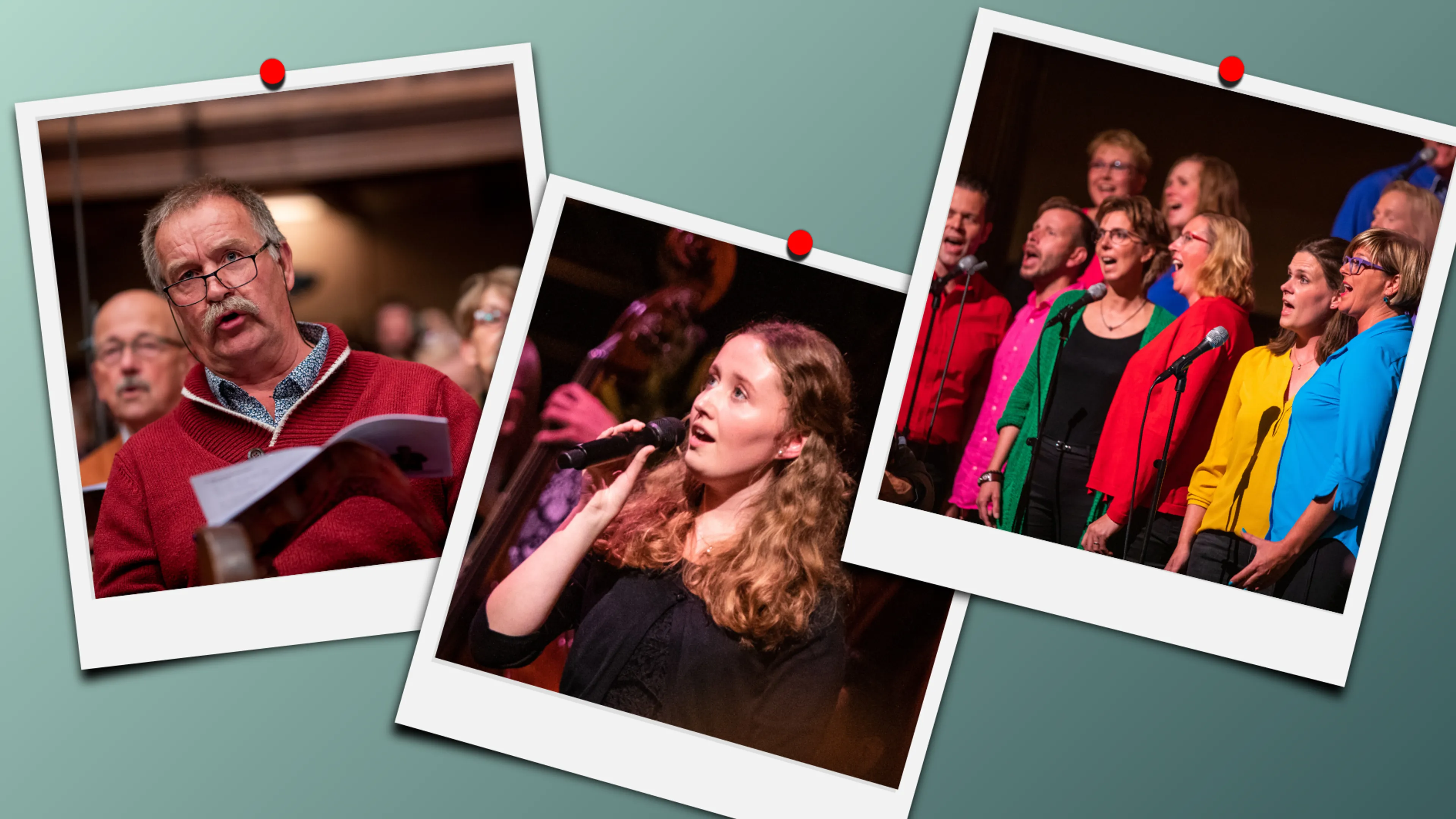 Uitgelichte afbeelding