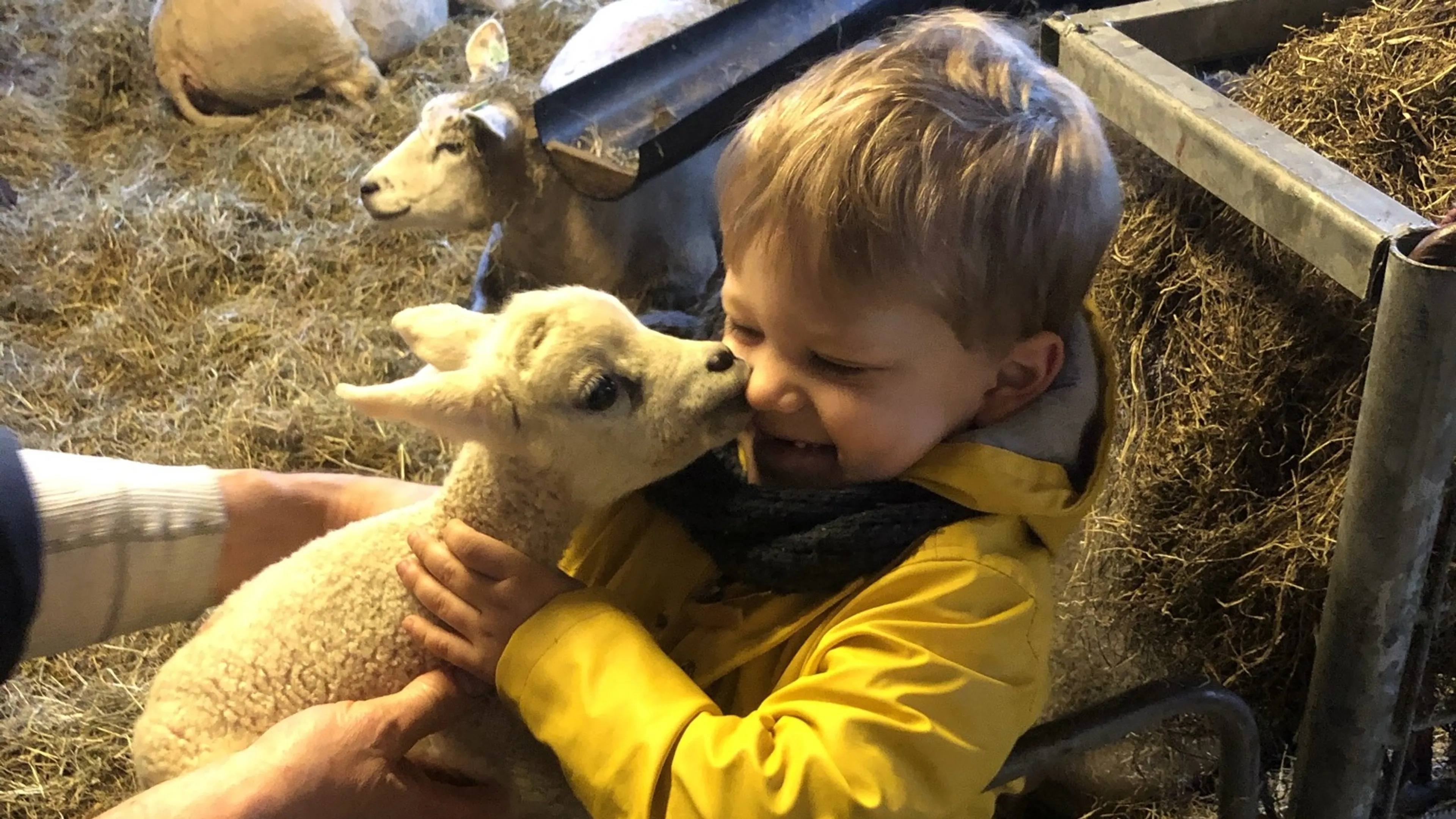 Uitgelichte afbeelding