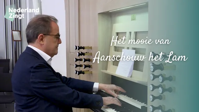 Uitgelichte afbeelding