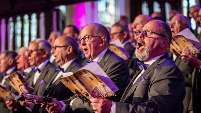 Uitgelichte afbeelding