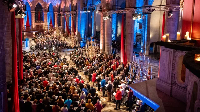 Uitgelichte afbeelding