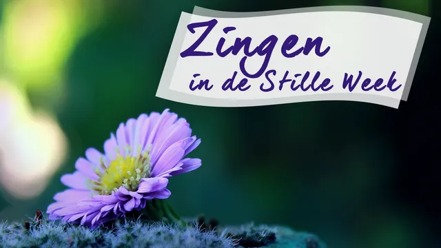 Uitgelichte afbeelding