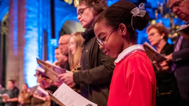 Uitgelichte afbeelding