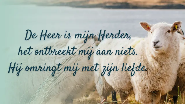 Uitgelichte afbeelding