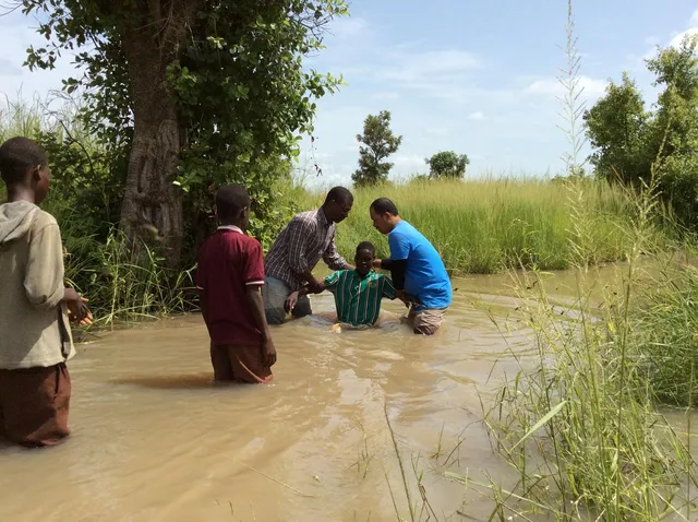 Uitgelichte afbeelding