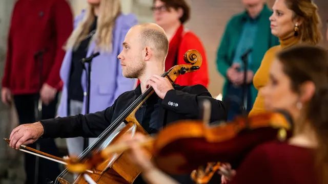 Uitgelichte afbeelding