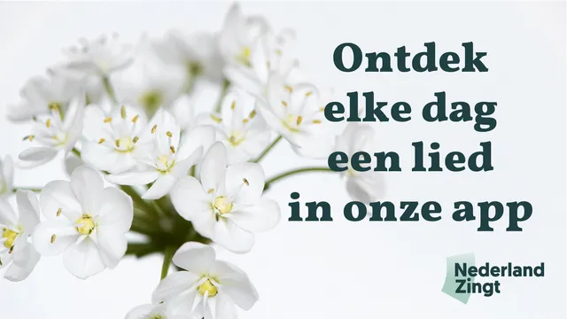 Uitgelichte afbeelding