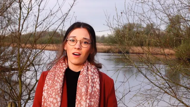 Uitgelichte afbeelding