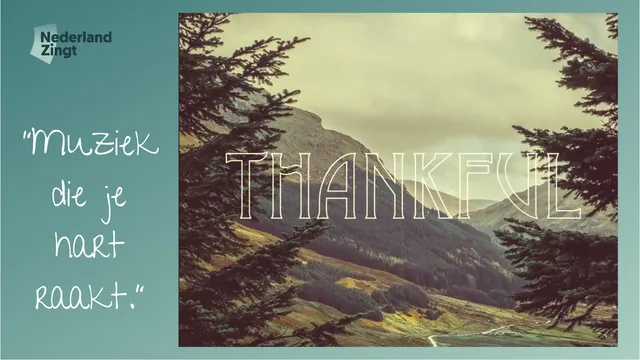 Uitgelichte afbeelding